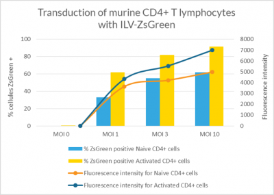 Lentiviral vectors murine naïve T cells