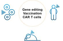 Large scale applications