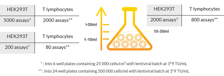 Estimated number of transductions