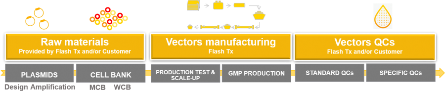 GMP lentiviral manufacturing offer