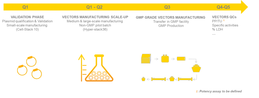 GMP production process