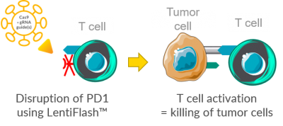 PD1KO for TumorCell killing