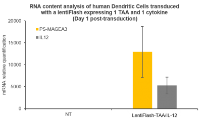 hDC_MAGE_IL12_RNA